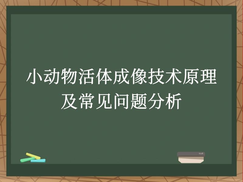 小動(dòng)物活體成像技術(shù)原理及常見問題分析
